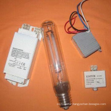 Power Changeable Sodium Lamp System Energy Saving Type (ML-209)